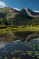 Lily Pond Molas Pass San Juan Moutains Colorado