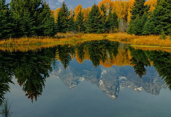 Grand Teton Reflection with Fall Color