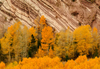 Sheep Creek Canyon WY.