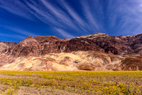 Desert Gold, Death Valley N.P.