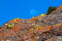 Moonrise Over Lichen Covered Rocks, Highland Lakes, CA