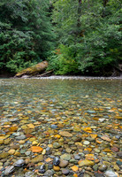 Colorful Rocks in Ohanapecosh River, Mount Rainier N.P.