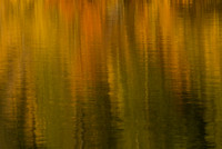 Abstract Color, Eastern Sierra Creek