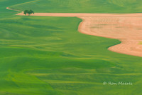 The Palouse - Eastern Washington