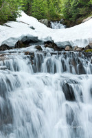 Nickel Creek, Mount Rainier N. P.