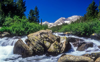 Eastern Sierra Stream