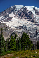 Mount Rainier Glaciers