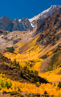 McGee Creek Canyon Fall Color - Eastern Sierra