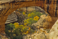 Sipapu Bridge, Natural Bridges N.M.