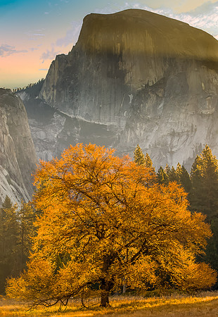 Half Dome Cooks  Meadow Sunrise