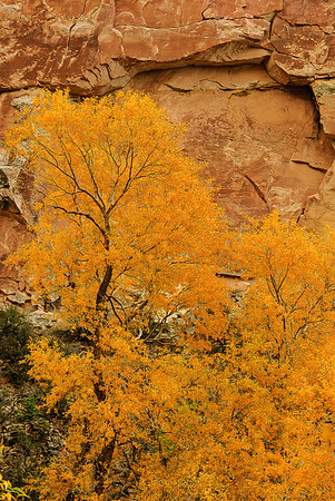 Sheep Creek Canyon, WY.