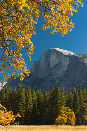 Half Dome, Yosemite N.P.