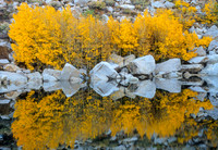 Pond with Aspen Reflection, Aspendell, Eastern Sierra