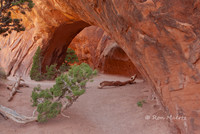 Navajo Arch - Arches N.P.