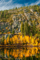 Aspen Reflection, Thompson Lake - Bucks Lake Area, CA