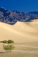 Death Valley - Mesquite Flat Sand Dunes
