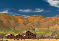 Old Barn and Wildflower Covered Hills - Lower Kern River Canyon,CA