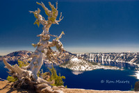 Crater Lake, Crater Lake N.P.