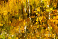 Rock Creek Reflections - Eastern Sierra