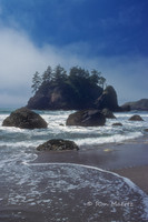 Sea Stack - Washington Coast