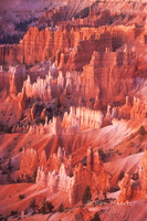 Bryce Canyon N.P.