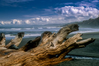 Oregon Coast