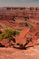 Dead Horse Point S.P. - Colorado River Overlook