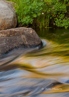 Moving Color - Woods Lake Outlet, CA