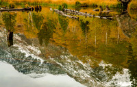 Reflections - Beaver Ponds, Lundy Canyon, Eastern Sierra