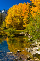 South Fork Bishop Creek - Eastern Sierra