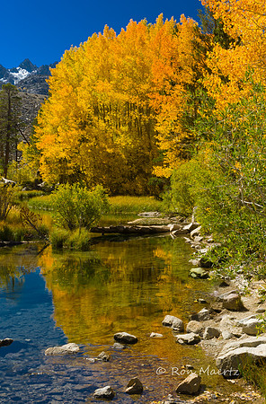 South Fork Bishop Creek - Eastern Sierra